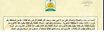 أرض للبيع في حي حي الروابي, مدينة النعيريه, المنطقة الشرقية صورة 3