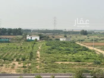 مزرعة للبيع في حي الياسمين, مدينة صبياء, منطقة جازان صورة 5