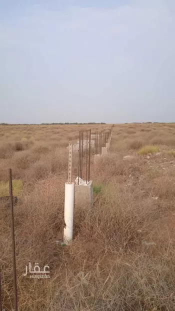 أرض للبيع في شارع طريق المضايا المرابي, حي مزارع الزهبين, مدينة مزارع الزهبين, منطقة جازان