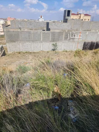 أرض للبيع في حي المصيف, مدينة ابها, منطقة عسير صورة 3