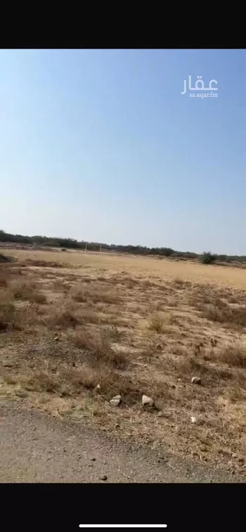 أرض للبيع في حي الخالدية, مدينة بيش, منطقة جازان صورة 3