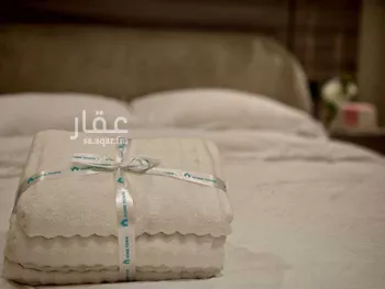 استديو مفروش للحجز في شارع القرينة ، حي الملز ، الرياض ، منطقة الرياض