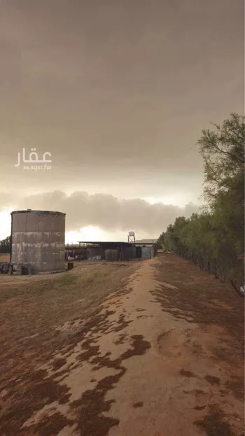 مزرعة للبيع في مدينة ثادق, منطقة الرياض صورة 4