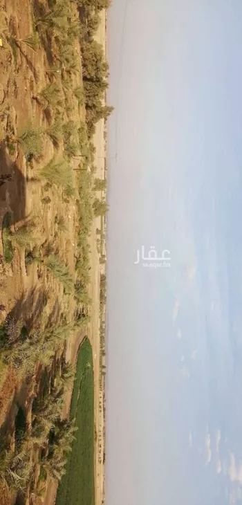 مزرعة للبيع في شارع المربع 137 ، المربع ، المذنب صورة 5