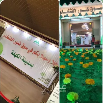 أرض للبيع في شارع الامير احمد بن عبدالعزيز, حي الكهفة, مدينة الكهفه, منطقة حائل