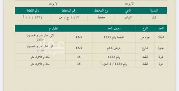 أرض للبيع في شارع 0000, حي البوادر, مدينة جدة, منطقة مكة المكرمة صورة 3