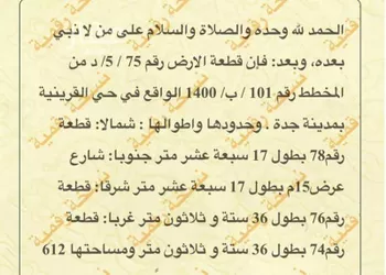 أرض للبيع في شارع جلديه, حي القرينية, مدينة جدة, منطقة مكة المكرمة صورة 4