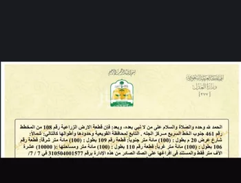 أرض للبيع في حي هجرة الزهوه والبيان, مدينة هجرة الزهوه والبيان, منطقة الرياض صورة 2