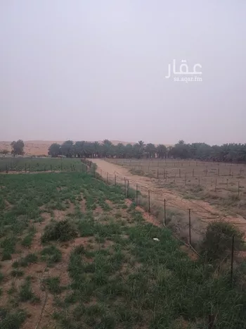 مزرعة للبيع في شارع الملك عبدالعزيز , حي مملحه القصب, مدينة القصب, منطقة الرياض