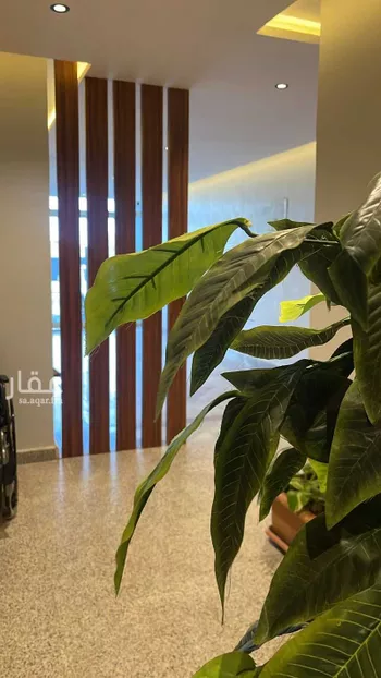 استديو مفروش للحجز في شارع التوفيق ، حي المونسية ، الرياض ، منطقة الرياض صورة 4