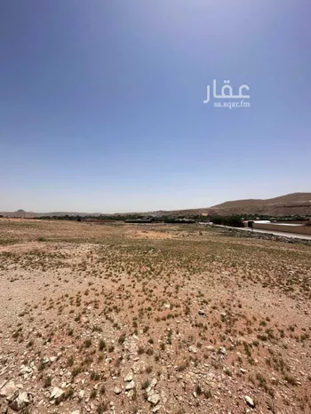 مزرعة للبيع في شارع الحكم الزرقي ، ضرما ، ضرما صورة 4