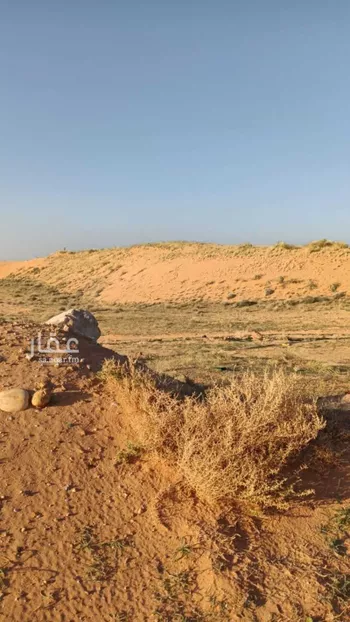 أرض للإيجار في شارع شارع ام سلمة, حي المنار, مدينة البدائع, منطقة القصيم صورة 2