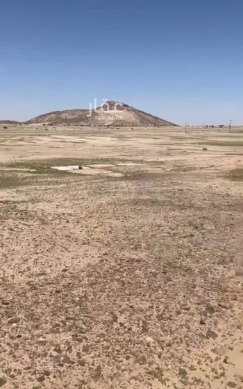 مزرعة للبيع في شارع عبدالله بن العاصى, حي الصناعية, مدينة الدوادمي - البجاديه, منطقة الرياض صورة 5