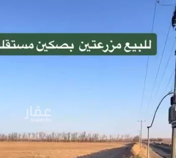 مزرعة للبيع في شارع ابي معاذ الانصاري, مدينة الجلف, منطقة حائل صورة 2