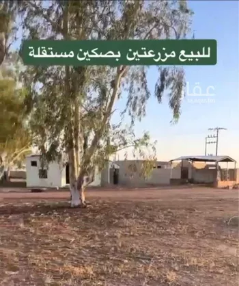 مزرعة للبيع في شارع ابي معاذ الانصاري, مدينة الجلف, منطقة حائل صورة 4