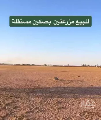مزرعة للبيع في شارع ابي معاذ الانصاري, مدينة الجلف, منطقة حائل صورة 3