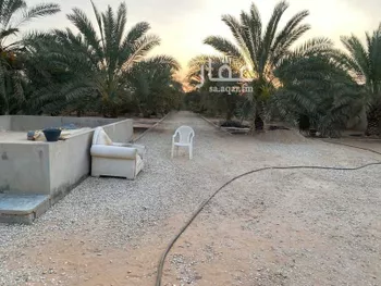 مزرعة للبيع في شارع عمر بن ذر, حي المصيف, مدينة عنيزه, منطقة القصيم صورة 5