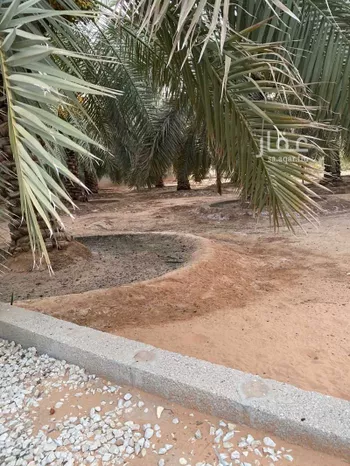مزرعة للبيع في شارع عمر بن ذر, حي المصيف, مدينة عنيزه, منطقة القصيم صورة 2