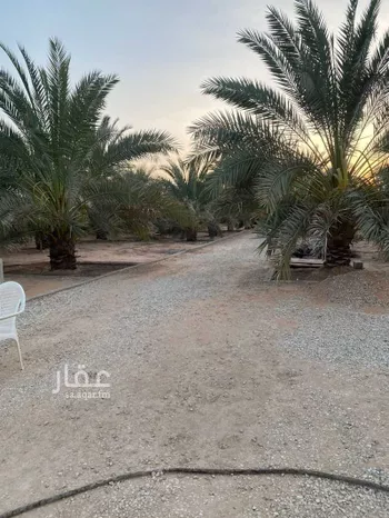 مزرعة للبيع في شارع عمر بن ذر, حي المصيف, مدينة عنيزه, منطقة القصيم صورة 4