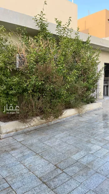 استراحة للبيع في شارع ال داؤود, حي ظهرة العودة شرق, مدينة امارة منطقة الرياض - الدرعيه, منطقة الرياض صورة 5