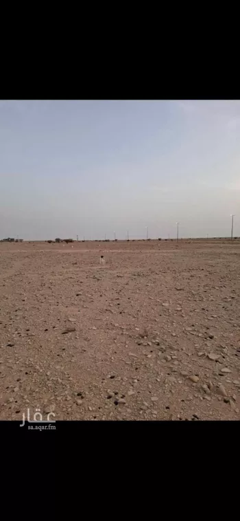 أرض للإيجار في شارع الاسود بن نوفل ، حوطة بني تميم ، حوطة بني تميم صورة 3