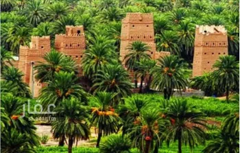 أرض للإيجار في شارع طريق الملك فهد, حي الغويلا, مدينة نجران, منطقة نجران