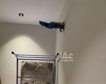 غرفة للإيجار في شارع ابو رهم الغفاري, حي الزهراء, مدينة جدة, منطقة مكة المكرمة صورة 3