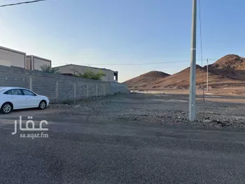 أرض للبيع في ديار العلوات من الصواعد من قبيلة حرب ، منطقة المدينة المنورة صورة 2
