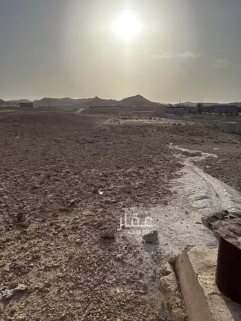 أرض للبيع في شارع العماريه 399, مدينة مخطط استراحات العماريه, منطقة الرياض صورة 4