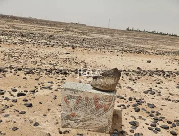 أرض للبيع في حي النخبة, مدينة الرياض, منطقة الرياض صورة 2