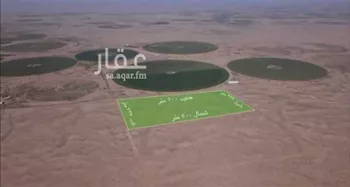مزرعة للبيع في شارع لا يوجد, حي الابيتر, مدينة الشنان - الابيتر, منطقة حائل