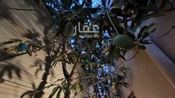 فيلا للبيع في شارع شداد بن اسيد, حي الحمراء, مدينة الجبيل, المنطقة الشرقية صورة 5