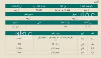 أرض للبيع في شارع مكه, حي الرويبضه, مدينة الرويبضه, منطقة الرياض صورة 2