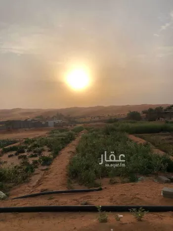 أرض للبيع في حي الياسمين, مدينة المزاحميه, منطقة الرياض صورة 5