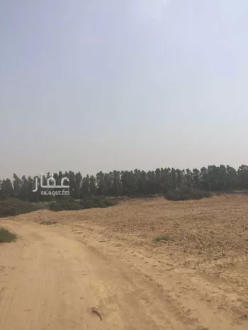 أرض للبيع في شارع محمد بن ناصر, حي الصفا, مدينة احد المسارحه, منطقة جازان