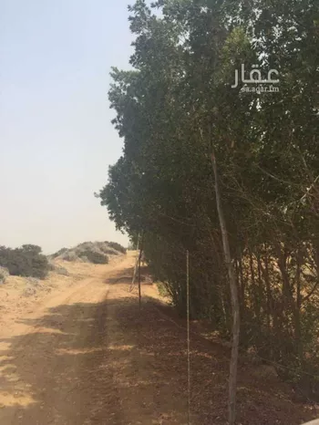 أرض للبيع في شارع محمد بن ناصر, حي الصفا, مدينة احد المسارحه, منطقة جازان صورة 4