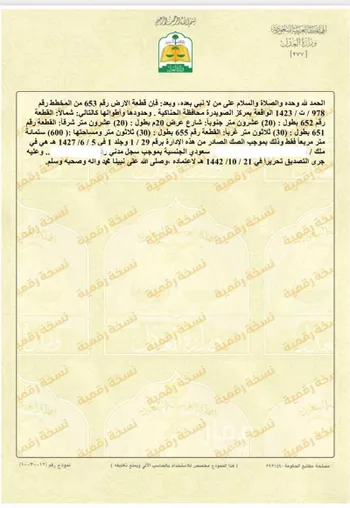 أرض للبيع في شارع الفرع 53 ، المدينة المنورة ، منطقة المدينة المنورة صورة 3