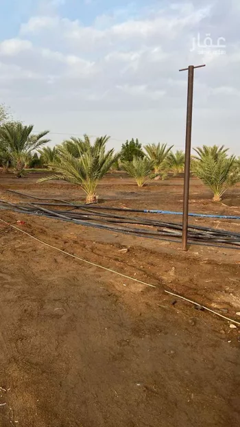 مزرعة للبيع في شارع ابي البركات الجمال, حي اليمانية, مدينة خليص, منطقة مكة المكرمة