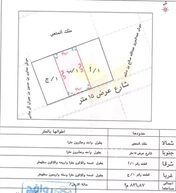 أرض للبيع في شارع الشارع العام, حي الروضة, مدينة ابها, منطقة عسير صورة 2