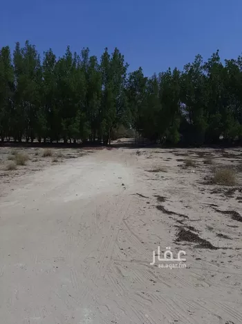 مزرعة للبيع في شارع حي ج19 1225, حي ج19, مدينة الجبيل, المنطقة الشرقية صورة 4