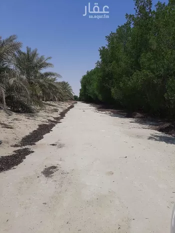 مزرعة للبيع في شارع حي ج19 1225, حي ج19, مدينة الجبيل, المنطقة الشرقية صورة 3