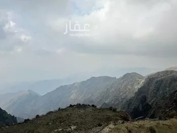 أرض للإيجار في شارع 19810497, حي الهدا, مدينة امارة منطقة مكة المكرمة - الطائف, منطقة مكة المكرمة صورة 5