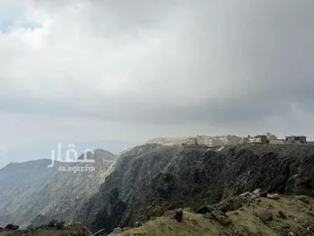 أرض للإيجار في شارع 19810497, حي الهدا, مدينة امارة منطقة مكة المكرمة - الطائف, منطقة مكة المكرمة