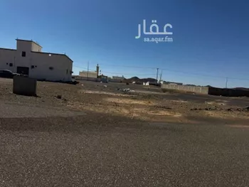 أرض للبيع في شارع فلاح ابن حشر, حي مخطط وادي الفرع, مدينة وادي الفرع, منطقة المدينة المنورة صورة 3