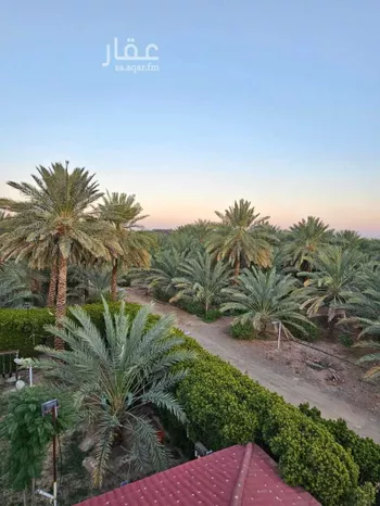 مزرعة للبيع في حي الدويخلة, مدينة المدينه المنوره, منطقة المدينة المنورة صورة 3