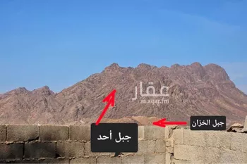 مزرعة للبيع في شارع عبدالله بن الفضل, حي الدويخلة, مدينة المدينه المنوره, منطقة المدينة المنورة صورة 5