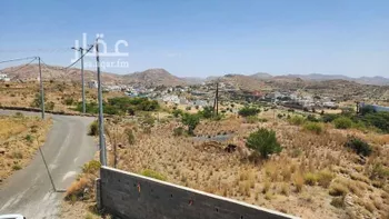 مزرعة للبيع في شارع 124 الريحان, حي الريحان, مدينة ابها, منطقة عسير صورة 5