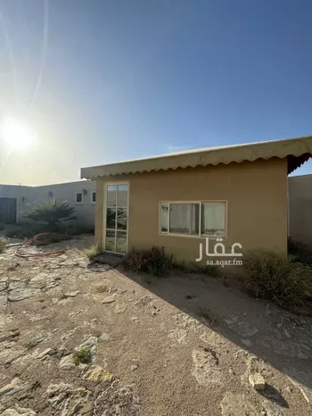 استراحة للإيجار في شارع طريق عثمان بن عفان, مدينة عنيزه, منطقة القصيم صورة 2
