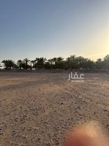 مزرعة للبيع في شارع وادي الدواسر العام, حي الخماسين الشمالى, مدينة وادي الدواسر, منطقة الرياض صورة 2