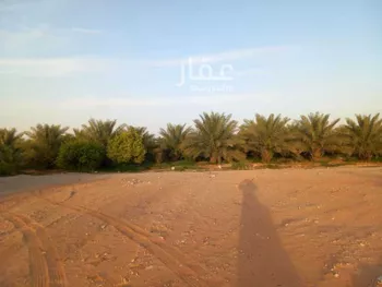 مزرعة للبيع في شارع اليمامة, حي اليمامة, مدينة الخرج, منطقة الرياض صورة 4